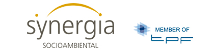 Logo de SYNERGIA - CONSULTORIA URBANA E SOCIAL LTDA.