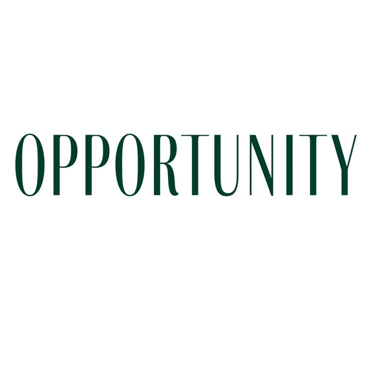 Logo de OPPORTUNITY