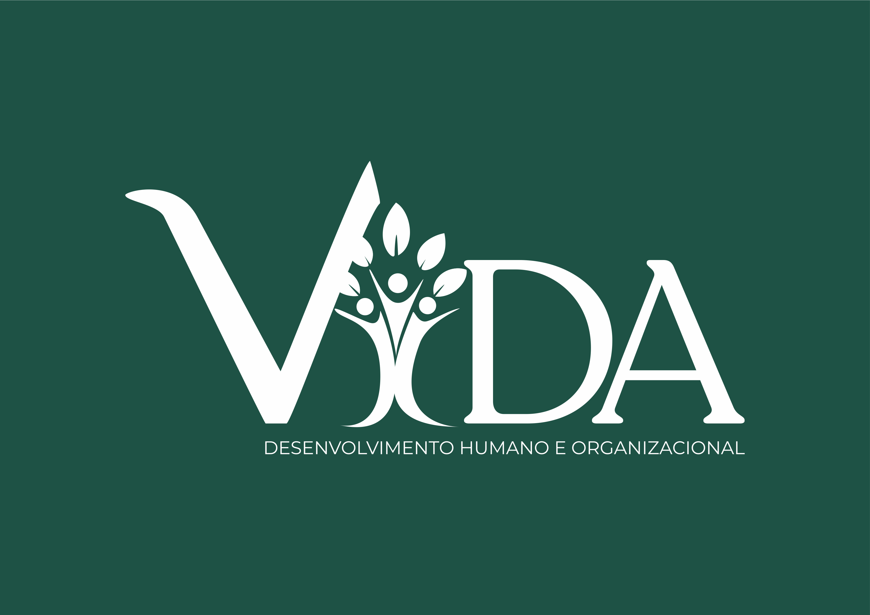 Logo de VIDA DESENVOLVIMENTO HUMANO E ORGANIZACIONAL LTDA