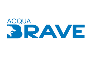 Logo de BRAVE ILHA ACADEMIA LTDA