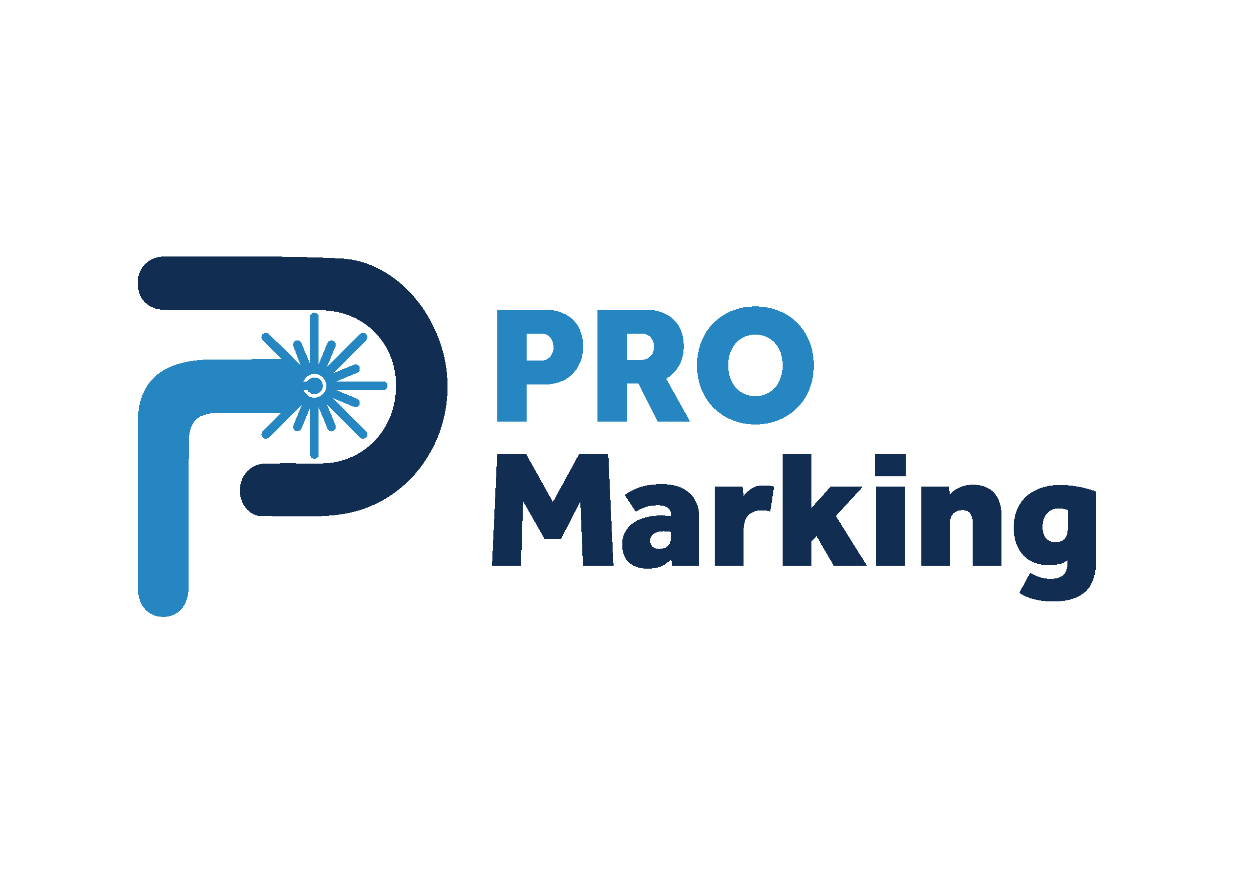 Logo de PROMARKING TECNOLOGIA E AUTOMACAO INDUSTRIAL LTDA