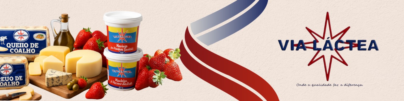 Logo de VL - DISTRIBUICAO E LOGISTICA LTDA