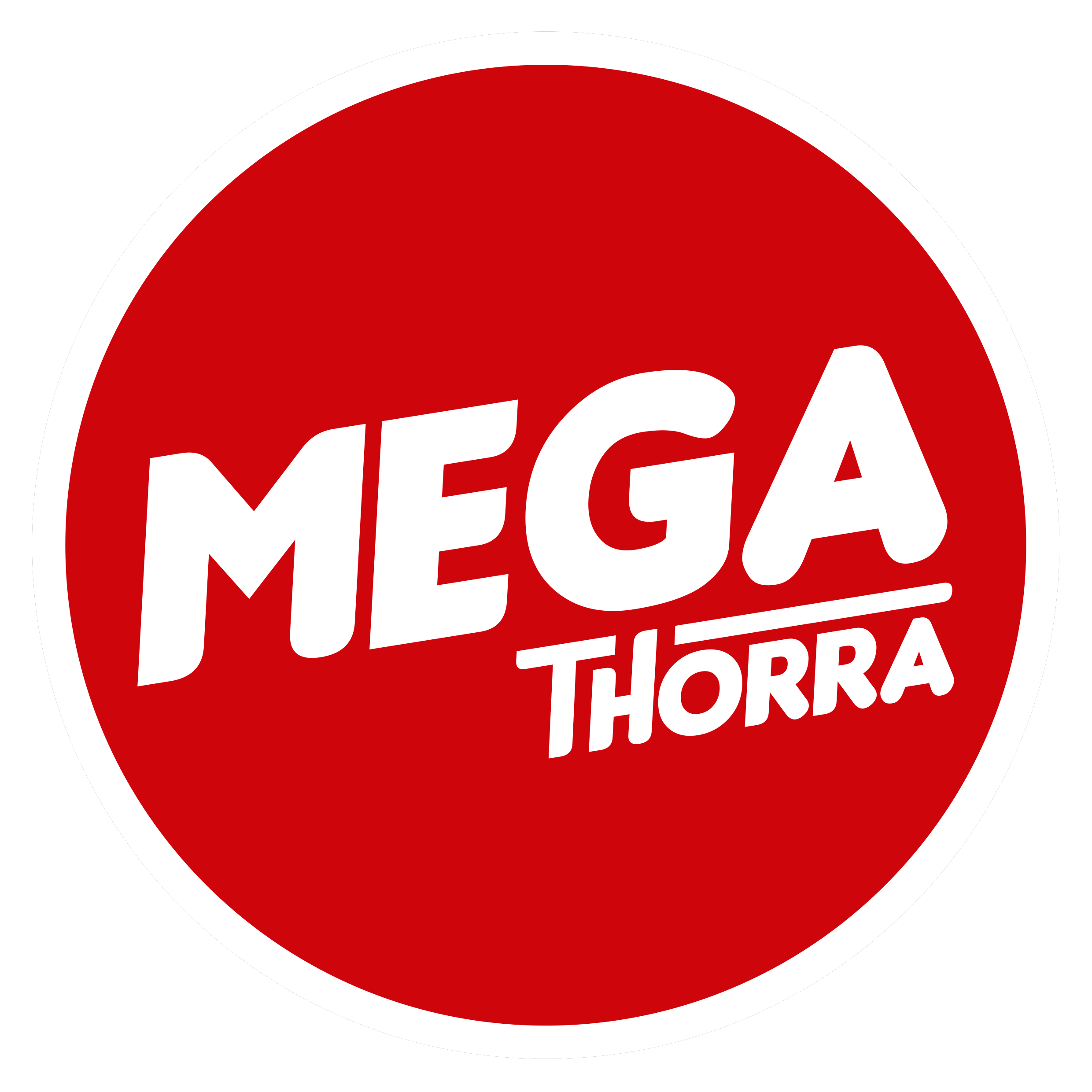 Logo de MEGA THORRA DISTRIBUIDORA LTDA