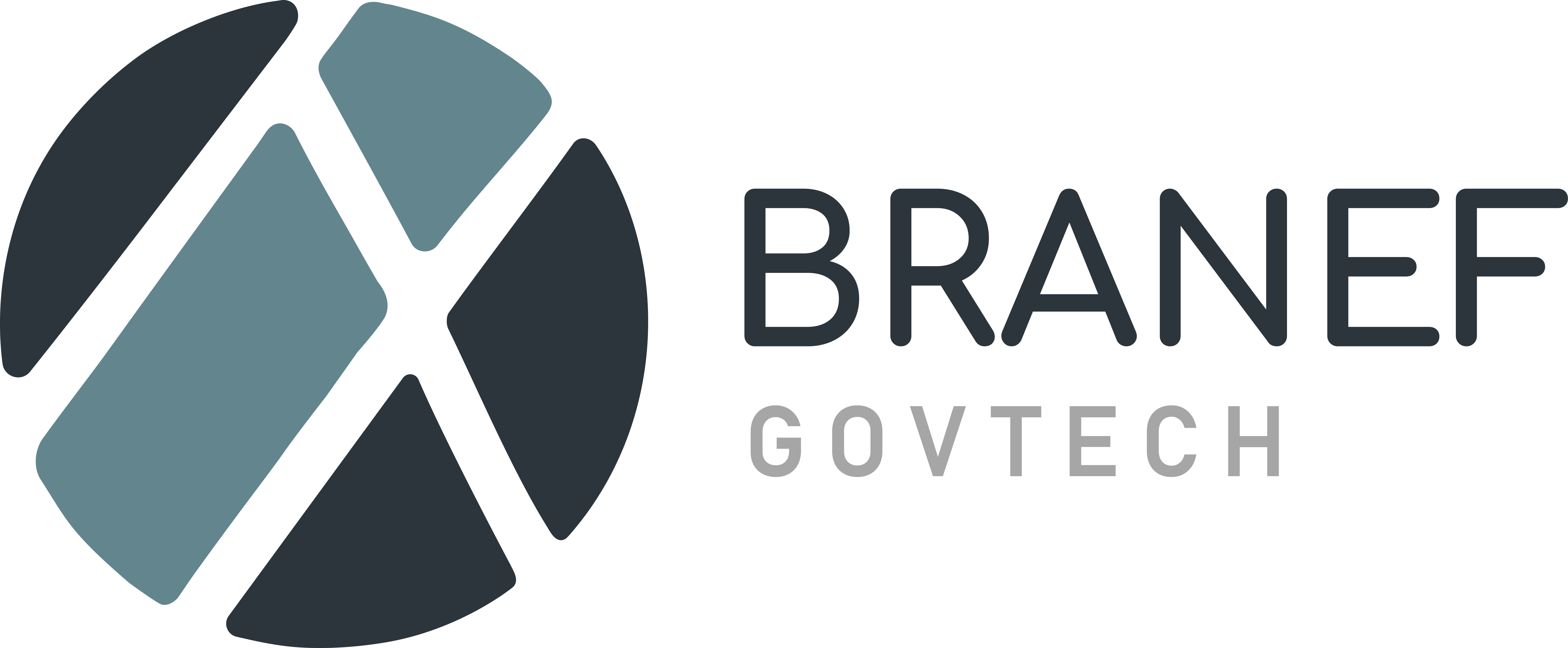 Logo de BRANEF TECNOLOGIA DA INFORMACAO LTDA