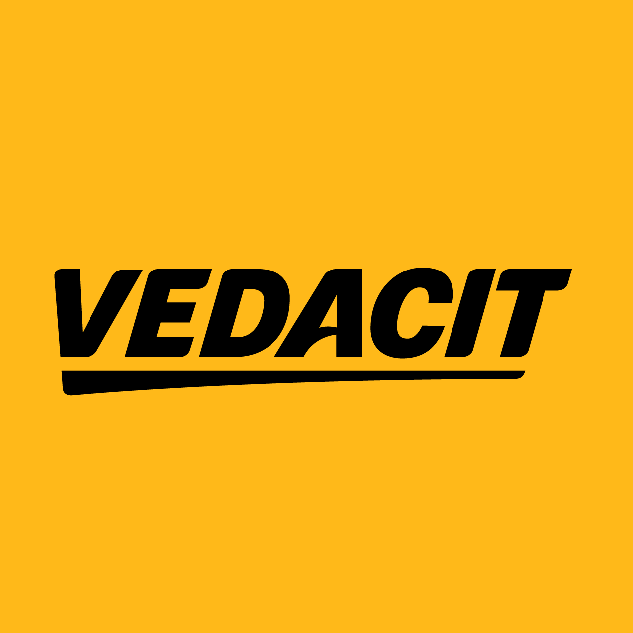 Logo de Vedacit