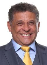 Foto de Galo