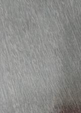 Foto de Tonhão do Bloco